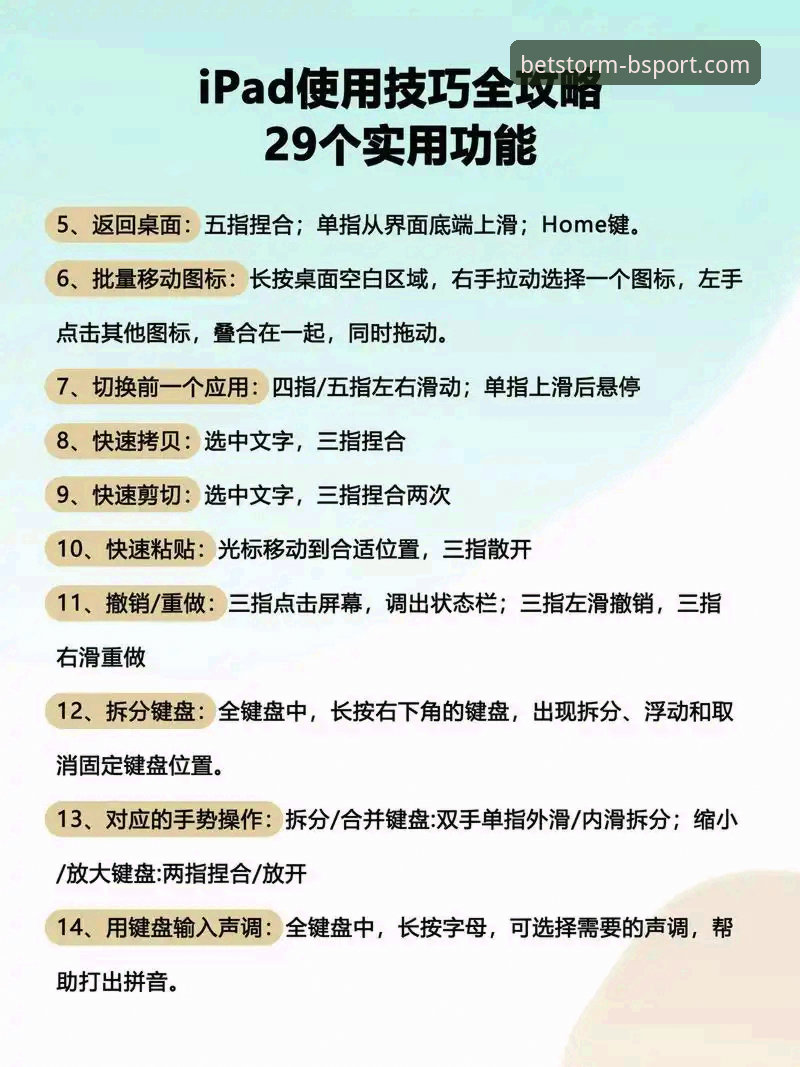 BSPORT服务体验完整指南：从新手到高手的体育娱乐平台选择策略